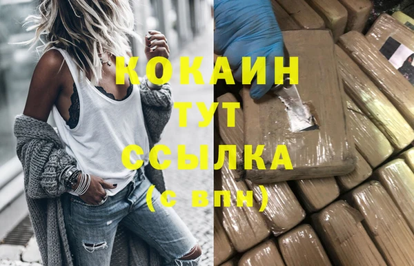 спайс Богданович