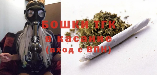спайс Богданович