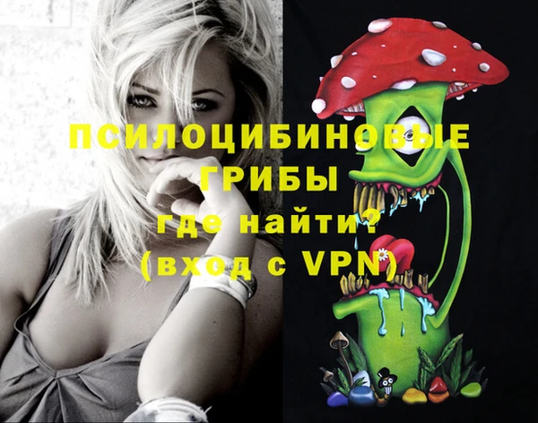 спайс Богданович