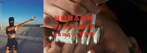 спайс Богданович