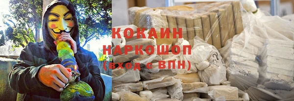 спайс Богданович
