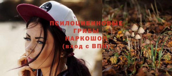 СК Богородицк