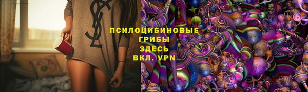 спайс Богданович