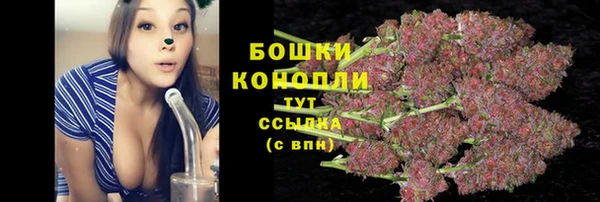 спайс Богданович