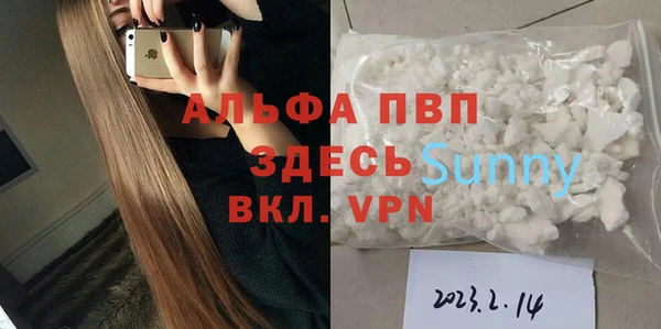 спайс Богданович